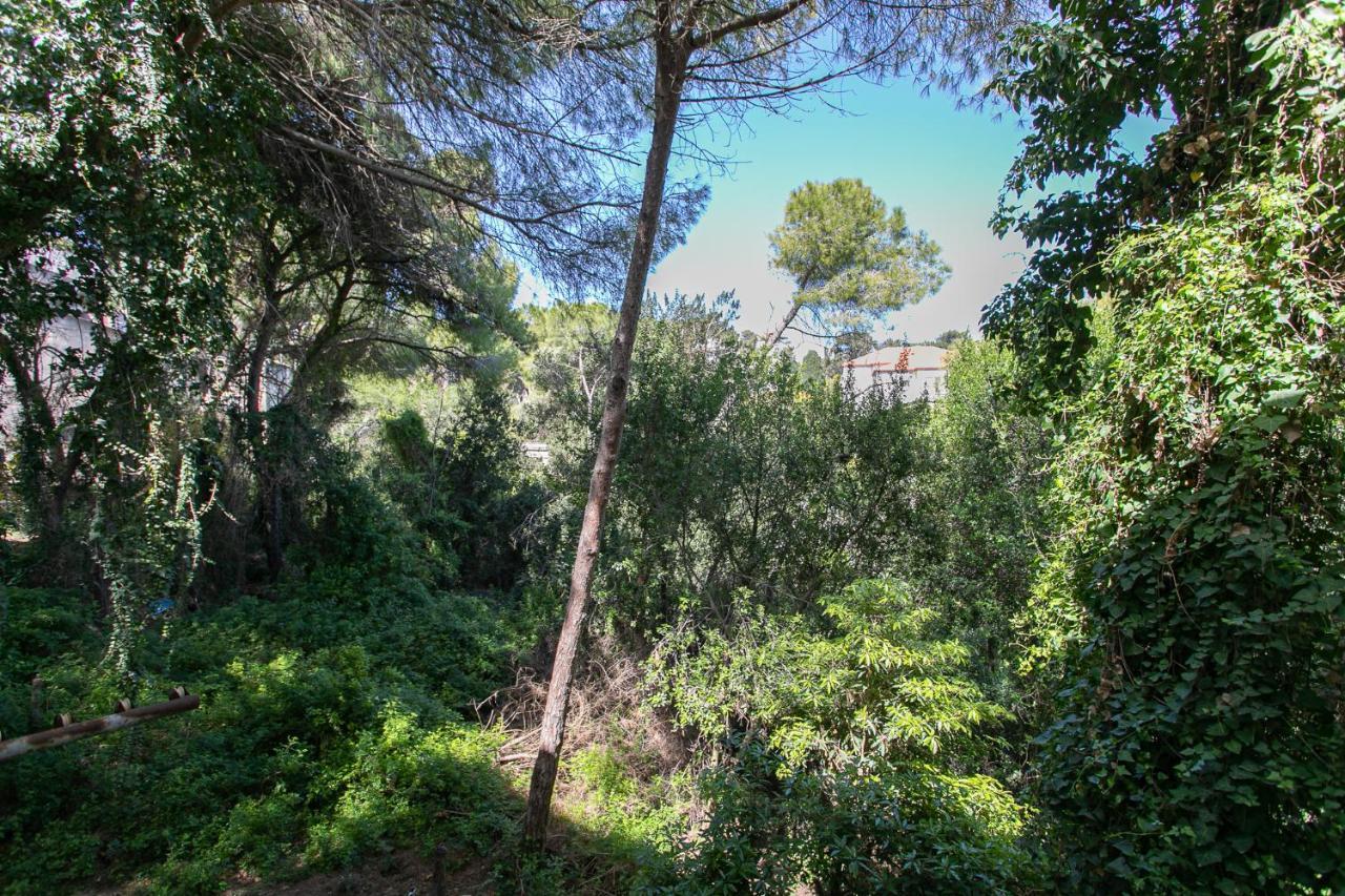 Carmel Boutique Apartments - Urban Forest Haifa Exterior foto